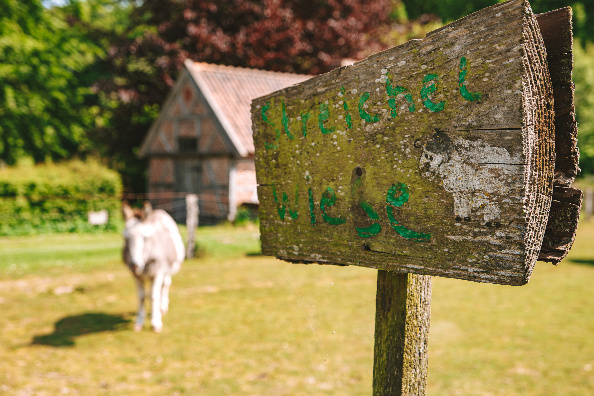 wooden plaque refering to farm animals